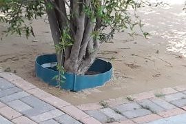 sod artificial grass installation after