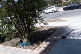 sod artificial grass installation before installation