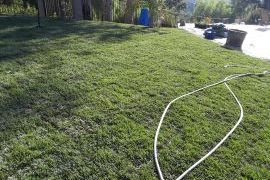 sod-grass-installation3
